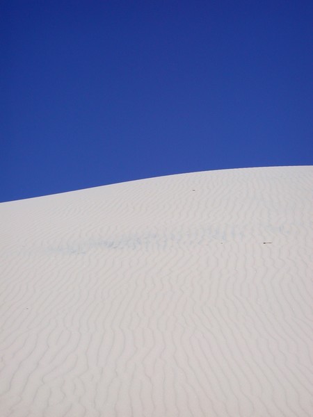 The Desert
